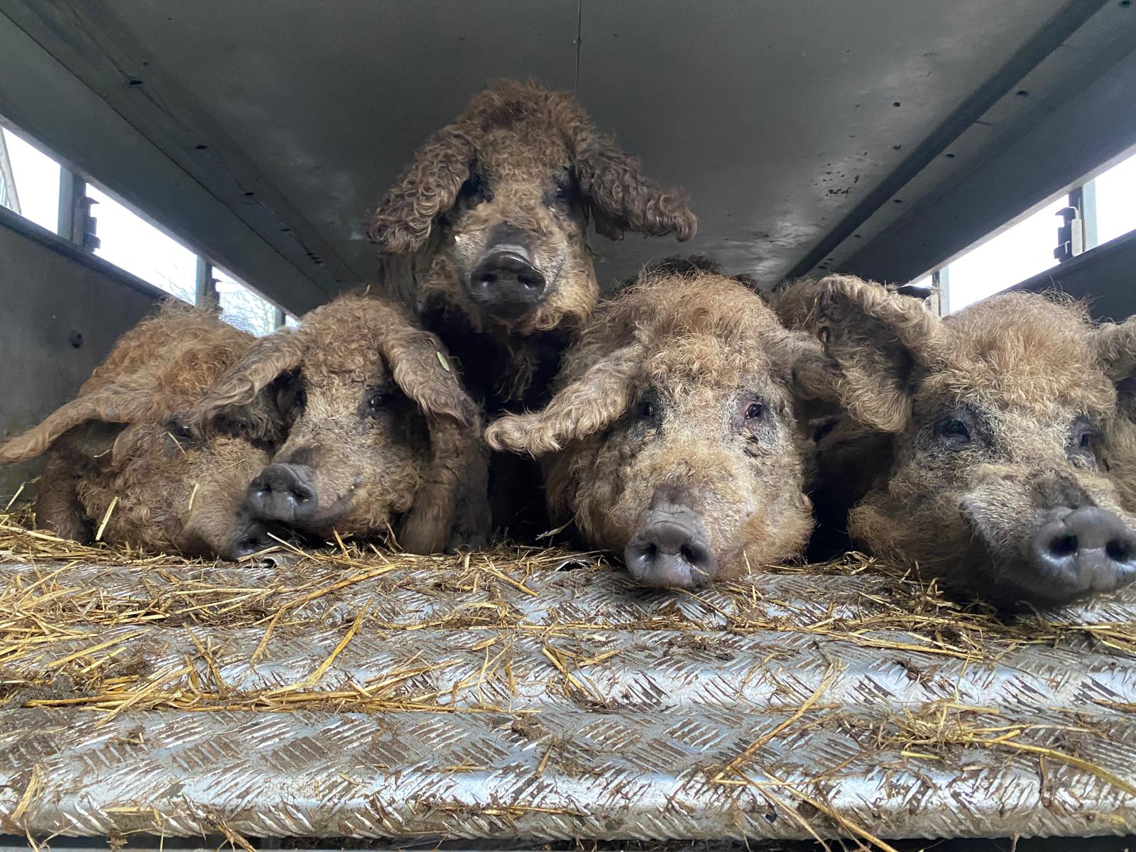 PHOTO-2024-12-09-14-05-13